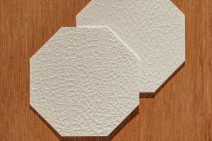 melon and roman Kagurazaka